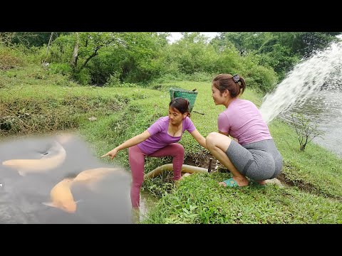 Full Videos: 60 Days Fishing, Use a Pump To Suck Water