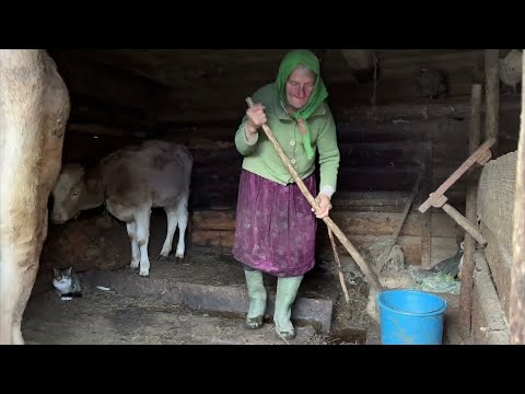 The lonely life of a 90-year-old grandmother in a