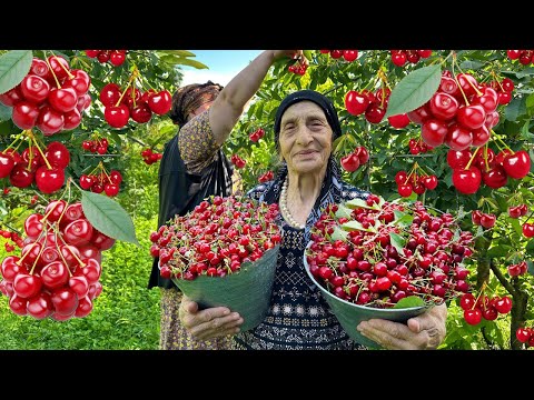 Mix of We Prepared Cherry Compote and Videos of Grandma's