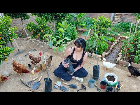 ¡No me pude resistir! Compré más plantas frutales para