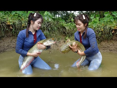 Fishing Technology: Unique Skills Use Large Cannon Pump