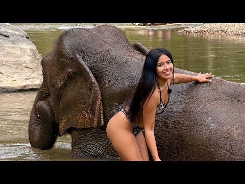 La mejor experiencia de mi vida l Santuario de Elefantes en