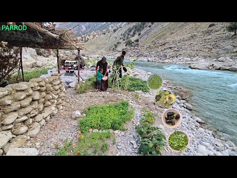 How Does a Nomadic Family Survive the Extreme Cold?
