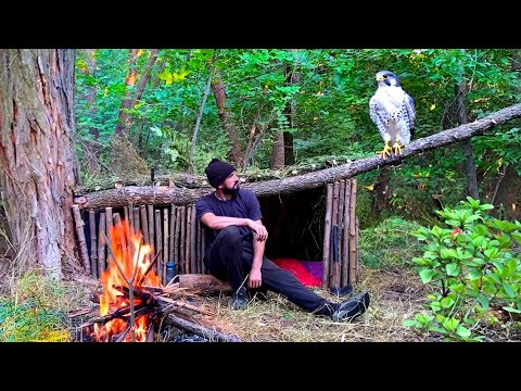 Building a Shelter in the Woods with an eagle Chick
