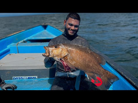 SPEARFISHING Trinidad’s East Coast Finding the CUBERA