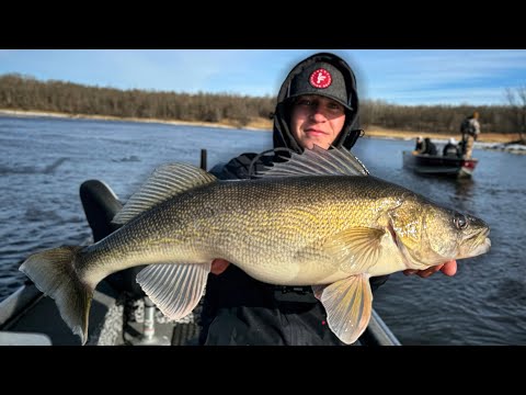 Absolutely ABSURD Walleye Fishing on the Rainy River