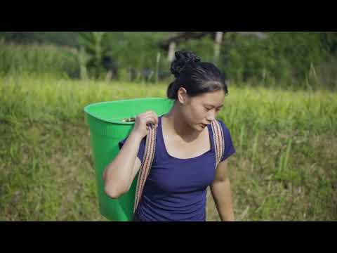 Harvesting Gac Fruits and Field Crabs & Go to Market Sell