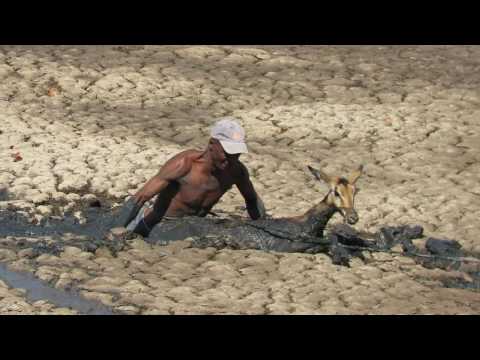 IMPALA RECUE 2016 10 30 2016 10 30