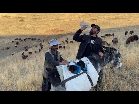 GÖÇ YOLCULUĞUNA ARA VERİYORUZ - ÇOBAN ARKADAŞLARLA MANGAL