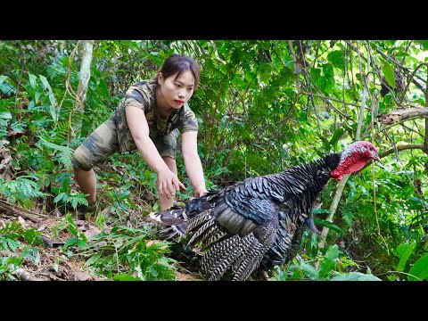 Find traces of turkeys, set traps to catch them and move to