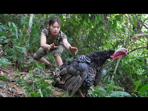Detect turkey tracks, near shelters, set manual traps to
