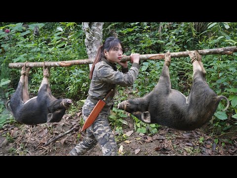 Tracking Wild Boar Trails, Setting Emergency Traps in the