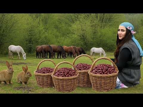 Daily routine in the stable: cooking mashed potatoes with