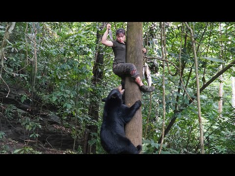 Terrifying encounter with a black bear in the wild, my