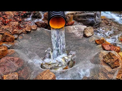 Derede Balık Avı | Stream Fishing | Süper Teknik