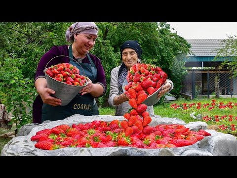 Mix of fresh strawberry compotes and delicious recipes from