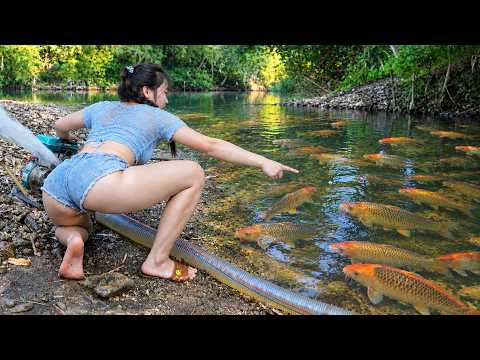 Fishing Video: Used Bait To Lure Fish Into The Lakes, Suck