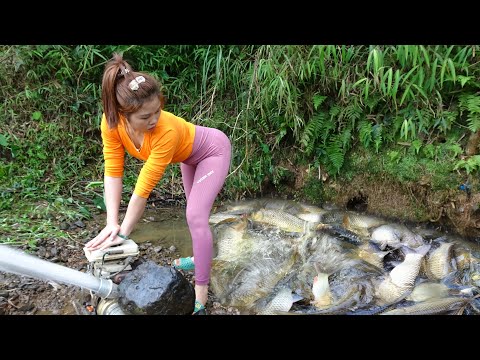 Amazing Fishing | FISHING with Pump | Catching Many Fish |