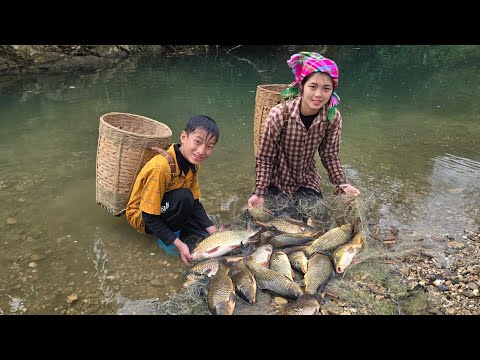 Casting nets to catch fish and harvesting large carp for