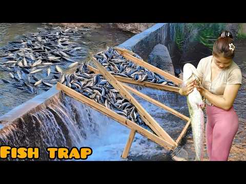 Full Video: How to Make Effective Creative Fish Traps,