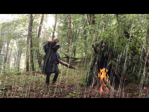 building a warm and cozy NEST in a Rainy, Foggy Forest –