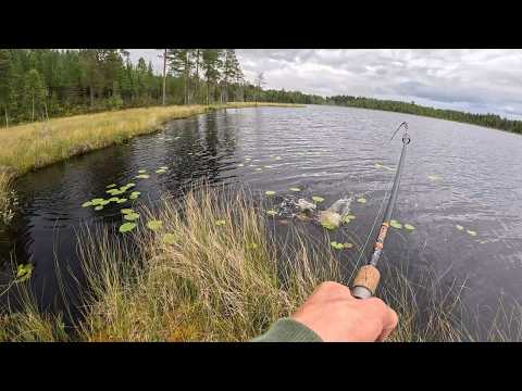 Wilderness Fishing & Cooking: A Day in the Quiet