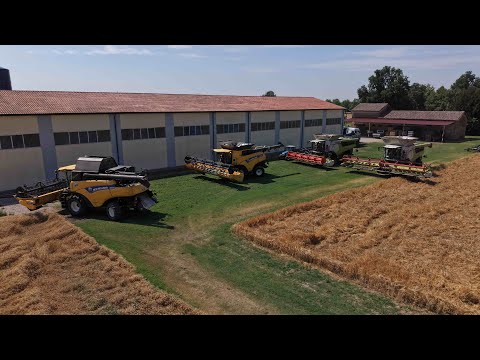 4 GIGANTI in campo Claas Lexion 8800, 7700 Terra Trac e 2