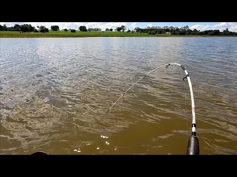 Pescaria no Rio turvo, era um sonho pegar esse peixe,veja
