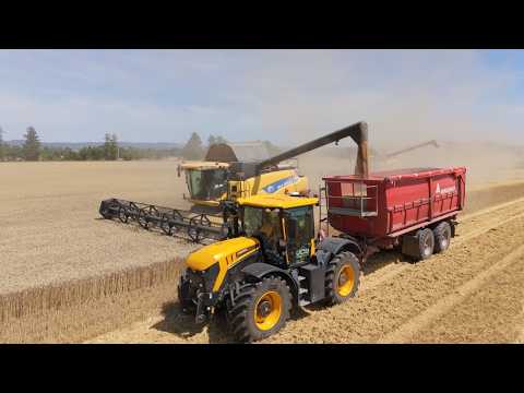 Žně 2026 - 3x New Holland CR 9 80 2x CR 9080