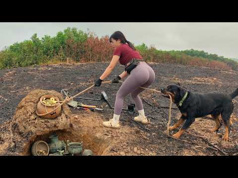 The forgotten treasure: the clever dog discovered something