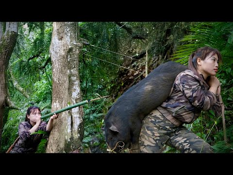 tracking wild boar, making traps to catch wild boar,