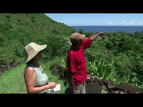 La Réunion relève un nouveau défi écologique