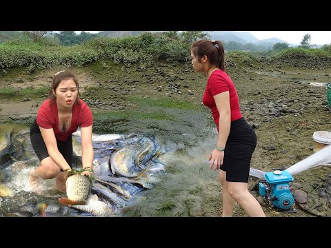 Fishing Techniques Catch Many Fish, Amazing Fishing,
