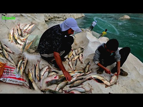 Fishing for Survival in a Wild Mountain River Nomad