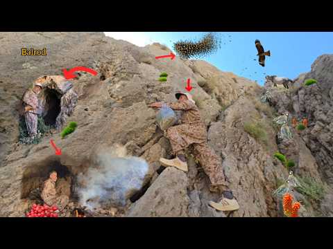 Dangerous nomad mission, searching for wild bees; valuable