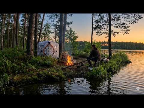 Perfect Evening, High Hopes, No Fish