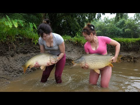 Fishing Video | Wild Fishing Tips | Amazing Fishing |