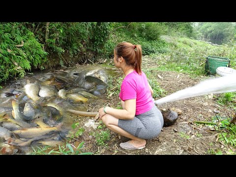 Fishing - Catch fish with pump, Catching a lot of fish in