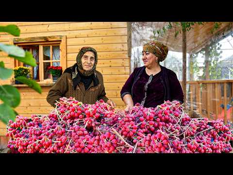 Harvesting Japanese Silverberry Fruit | Making Jam and