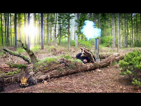 Building of a shelter inside a fallen tree with autonomous