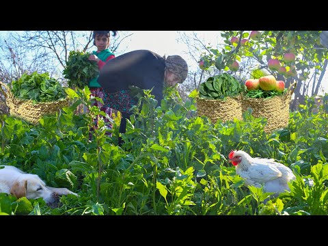 Mix of Recipes Cooked with Fresh Herbs in Nature! A Sunny