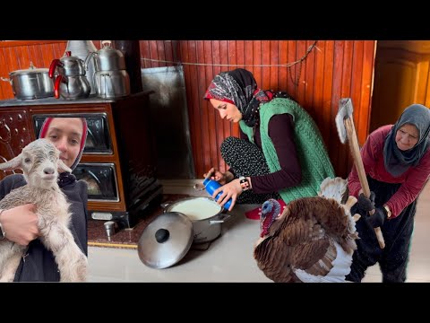 KÖY PEYNİRİ YAPIMI DOĞAL YAŞAM