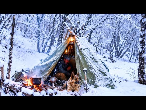 Winter Bushcraft Camp in Mountains _ Survival camping in