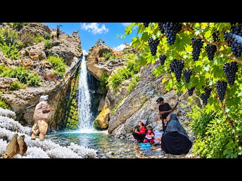 Nomadic Family vs Wild Goats in the Harsh Zagros Mountains
