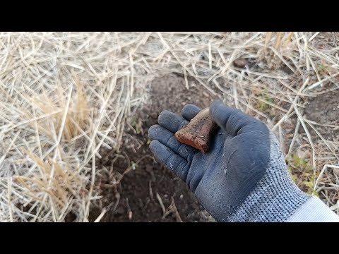 YENİ ARAZİ YENİ KEŞİFLER KISA BİR GEZİNTİ gold treasure