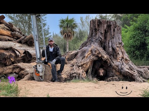 3 Years of Work in 14 Minutes