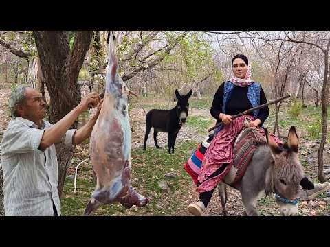 Life In A Iranian Village During The War| Nowruz During War