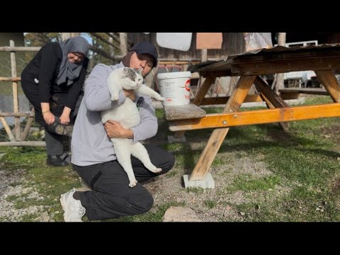 YÜKSEK DAĞ KÖYLERİNDE YAŞAMM 4K