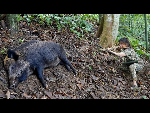 wild boar hunting skills, making traps to catch wild boars,