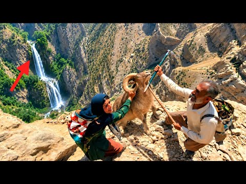 Tooba's epic journey in the wild: an adventurous journey